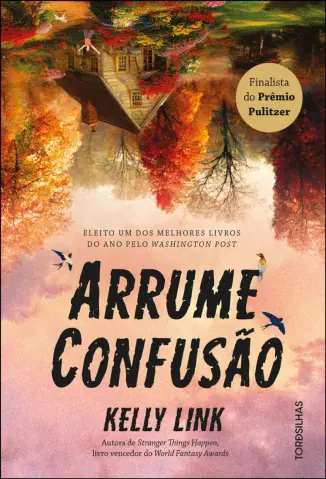 Arrume Confusão - Kelly Link