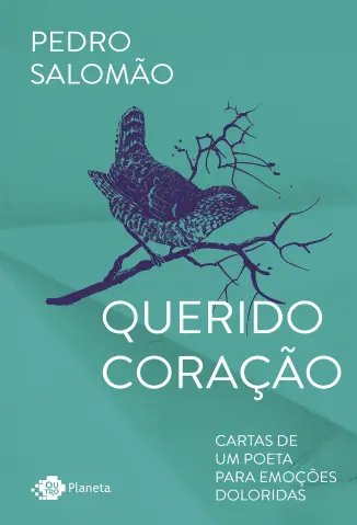 Querido Coração: Cartas de um Poeta para Emoções Doloridas - Pedro Salomão